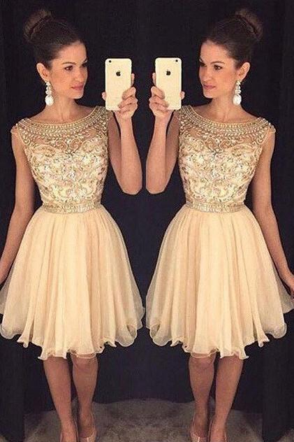 See through Chiffon Dress